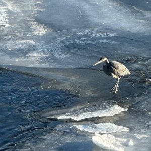 Ice Fishing